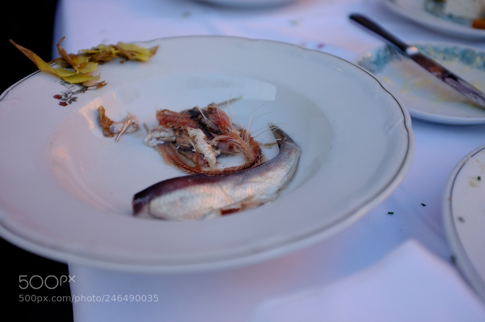 Fujifilm FinePix X100 sample photo. 9523105430.jpg photography