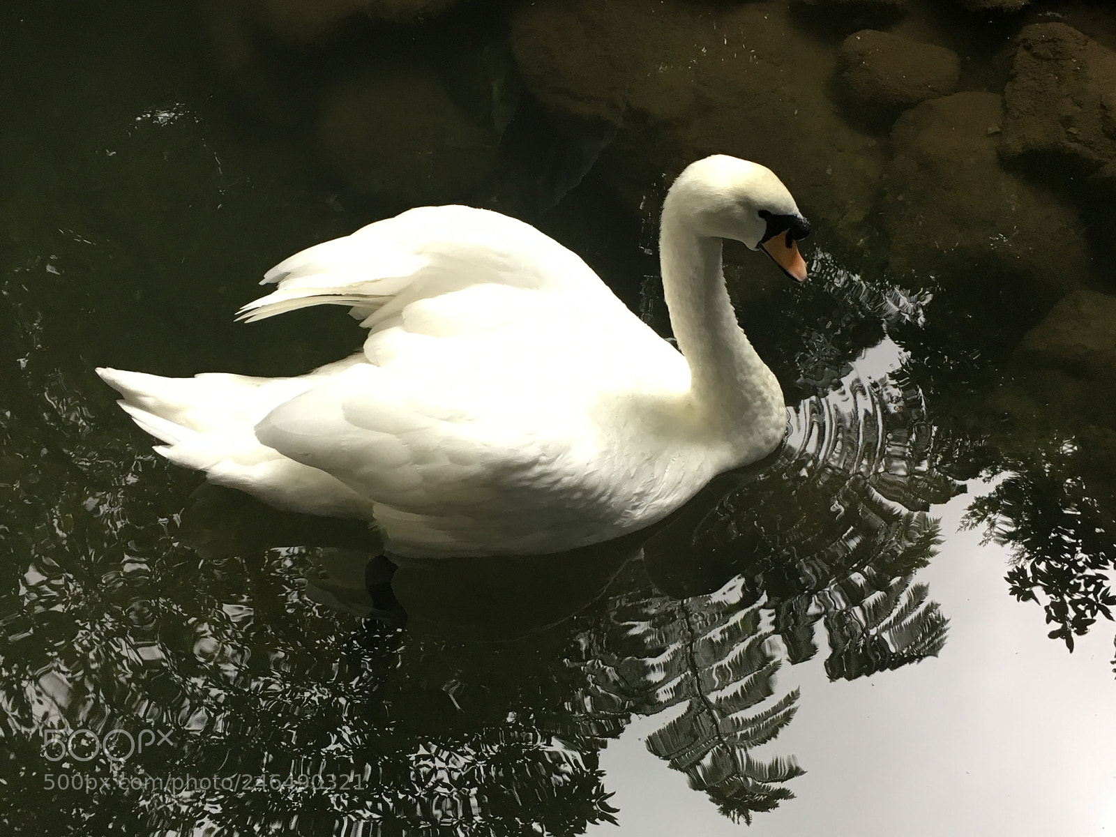 Apple iPhone 6s sample photo. Reflection photography