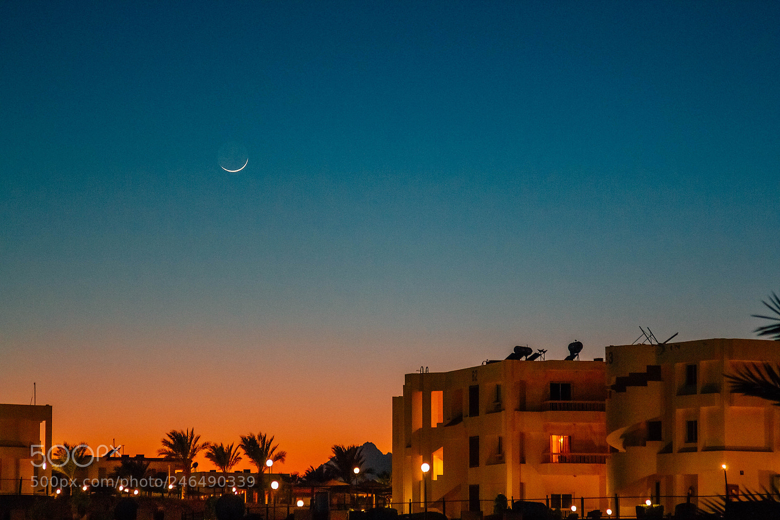 Canon EOS 550D (EOS Rebel T2i / EOS Kiss X4) sample photo. Arabian nights photography