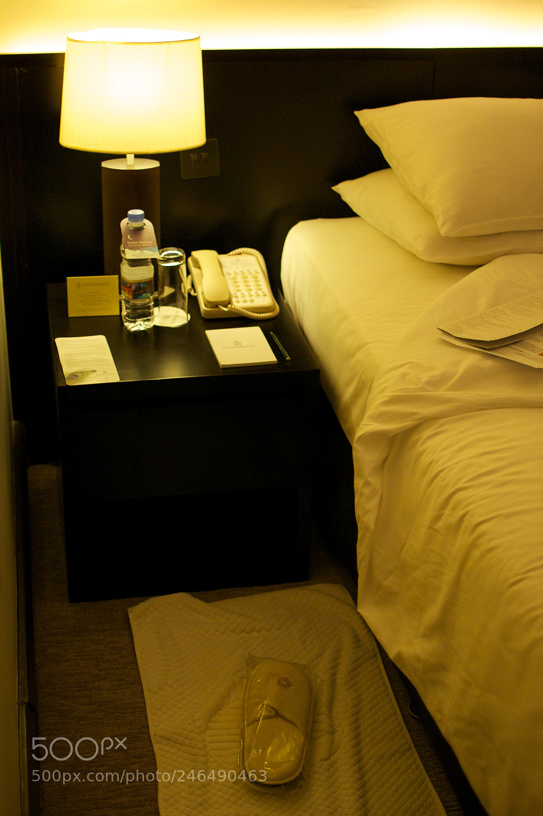 Nikon D40 sample photo. 5975714904.jpg photography