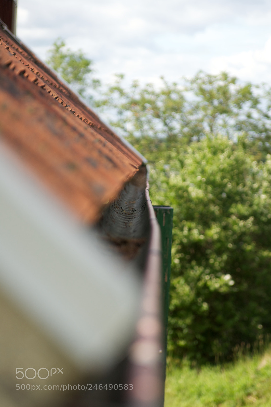Nikon D40 sample photo. 5869203120.jpg photography