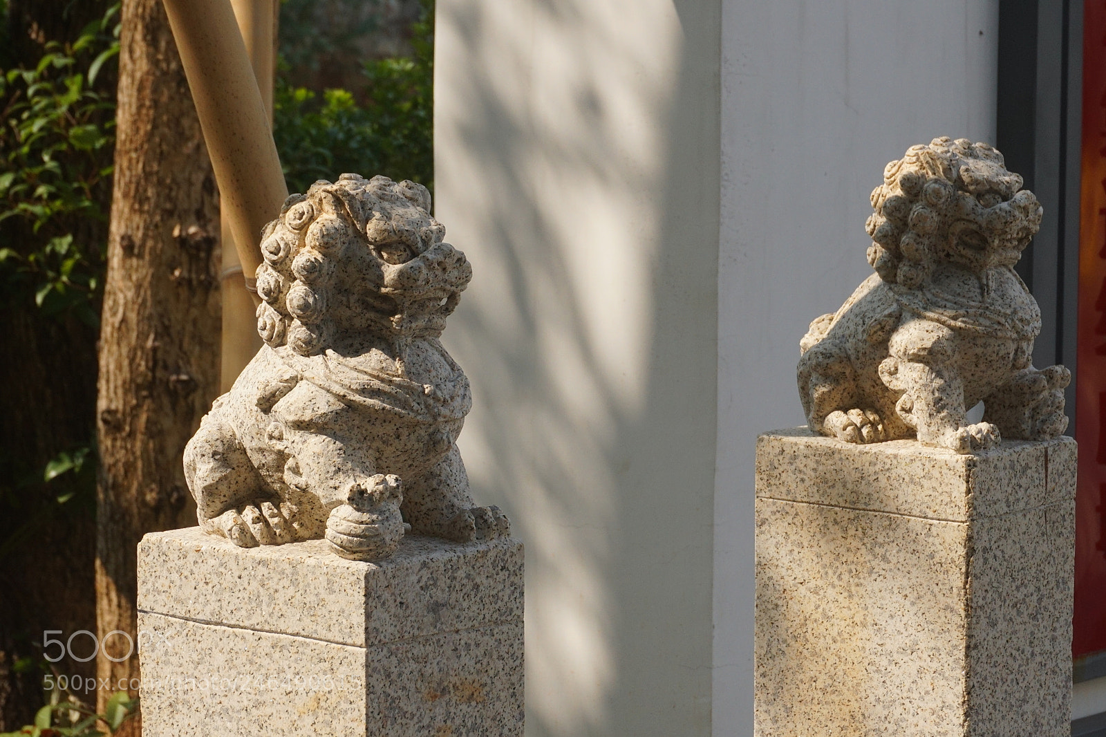 Sony a5100 sample photo. 狮子 photography