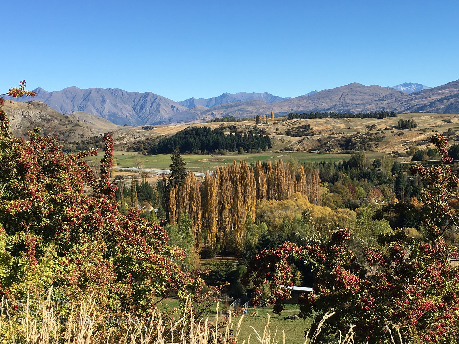 Apple iPhone 6s sample photo. Autum in queenstown photography