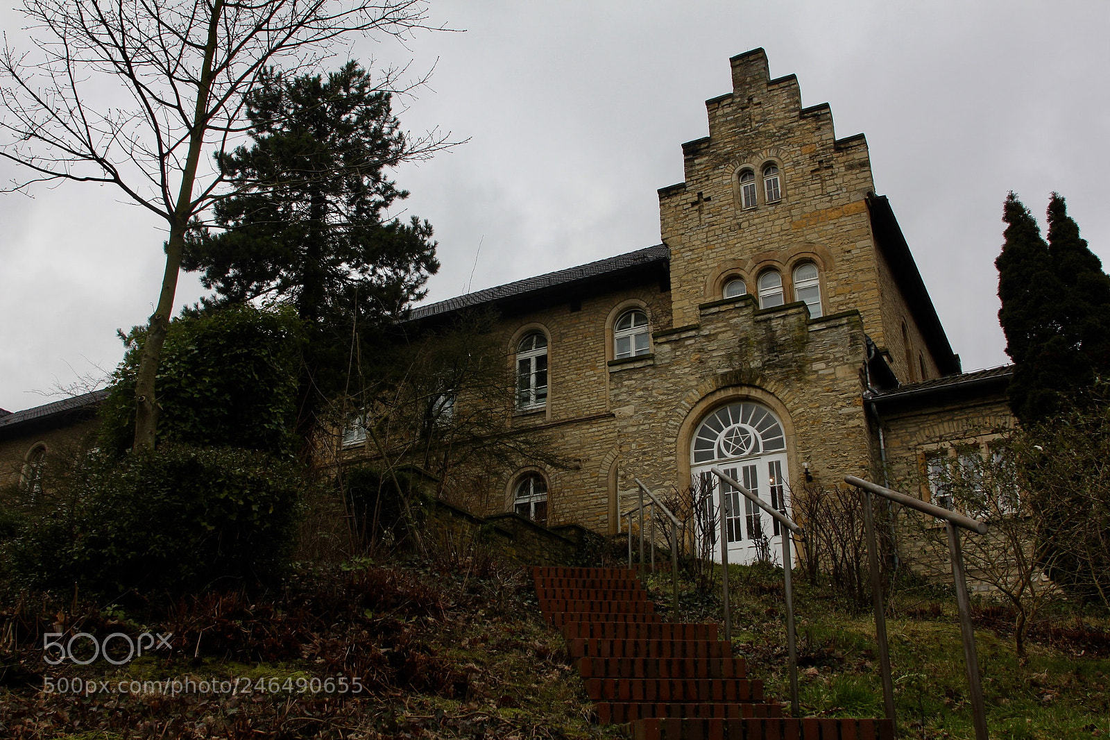 Canon EOS 60D sample photo. Untitled photography