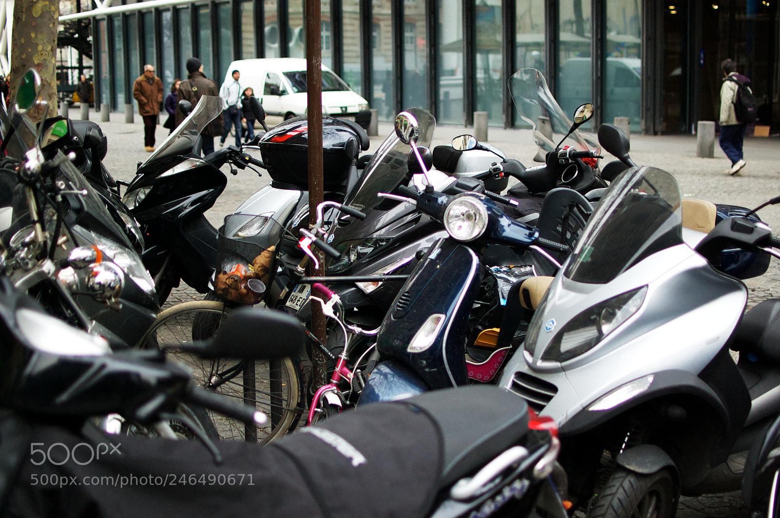 Nikon D40 sample photo. 5436469626.jpg photography