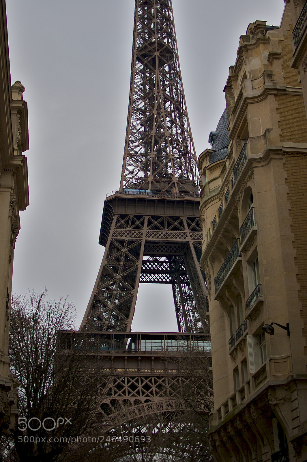 Nikon D40 sample photo. 5436472952.jpg photography