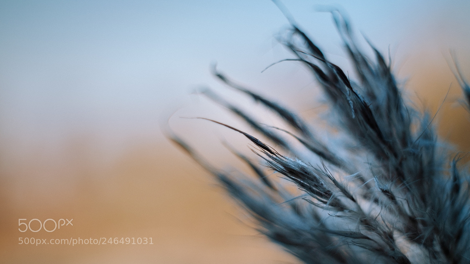 Fujifilm X-T1 sample photo. Winter mute photography