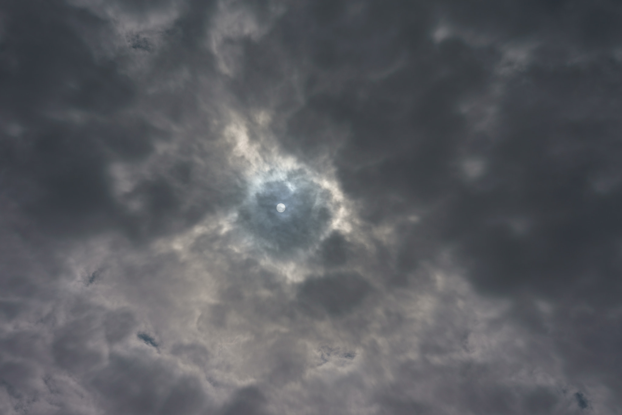 Sony a7 II + Sony Sonnar T* FE 55mm F1.8 ZA sample photo. Sun photography