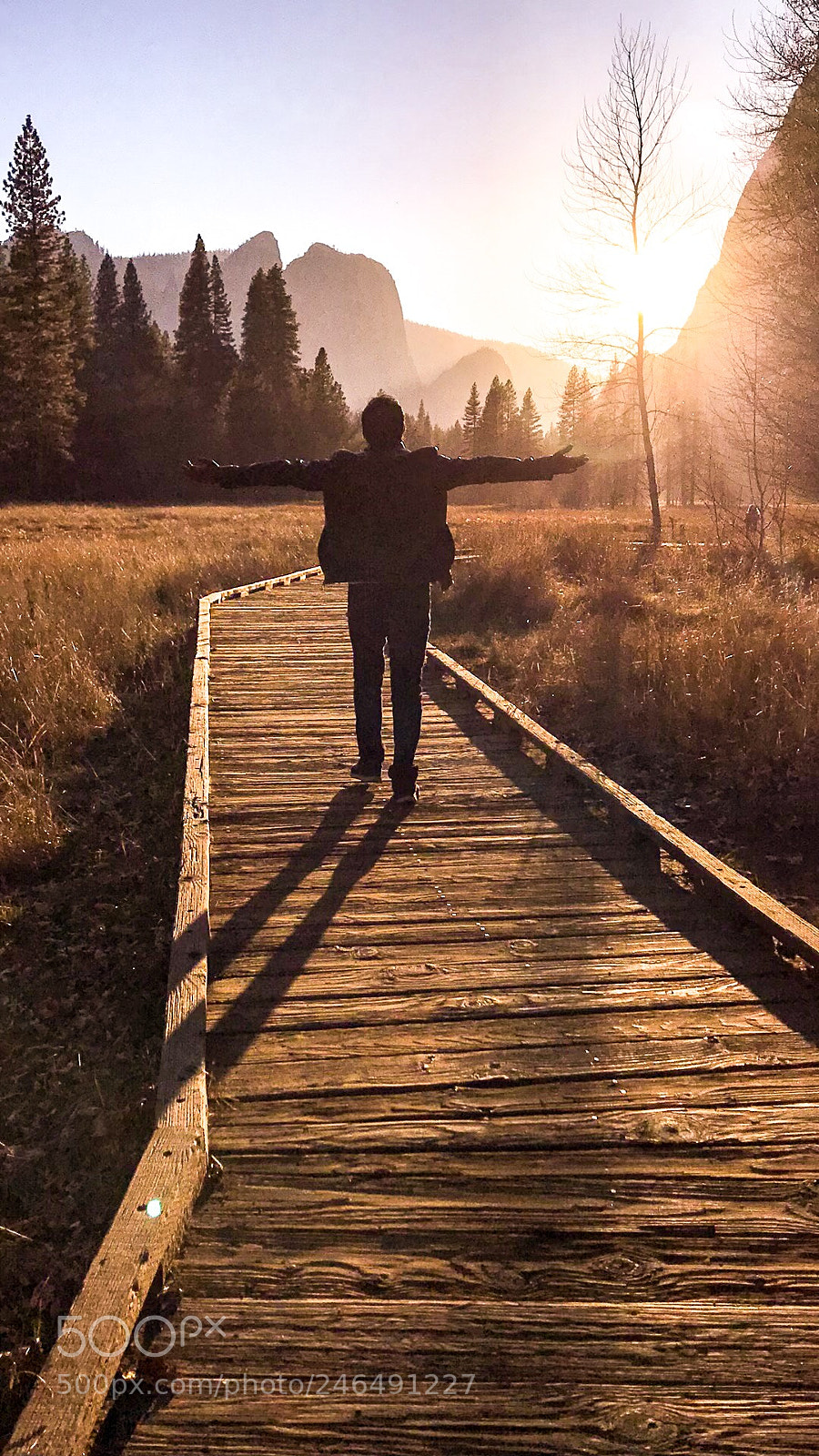 Apple iPhone 7 Plus sample photo. Yosemite valley photography