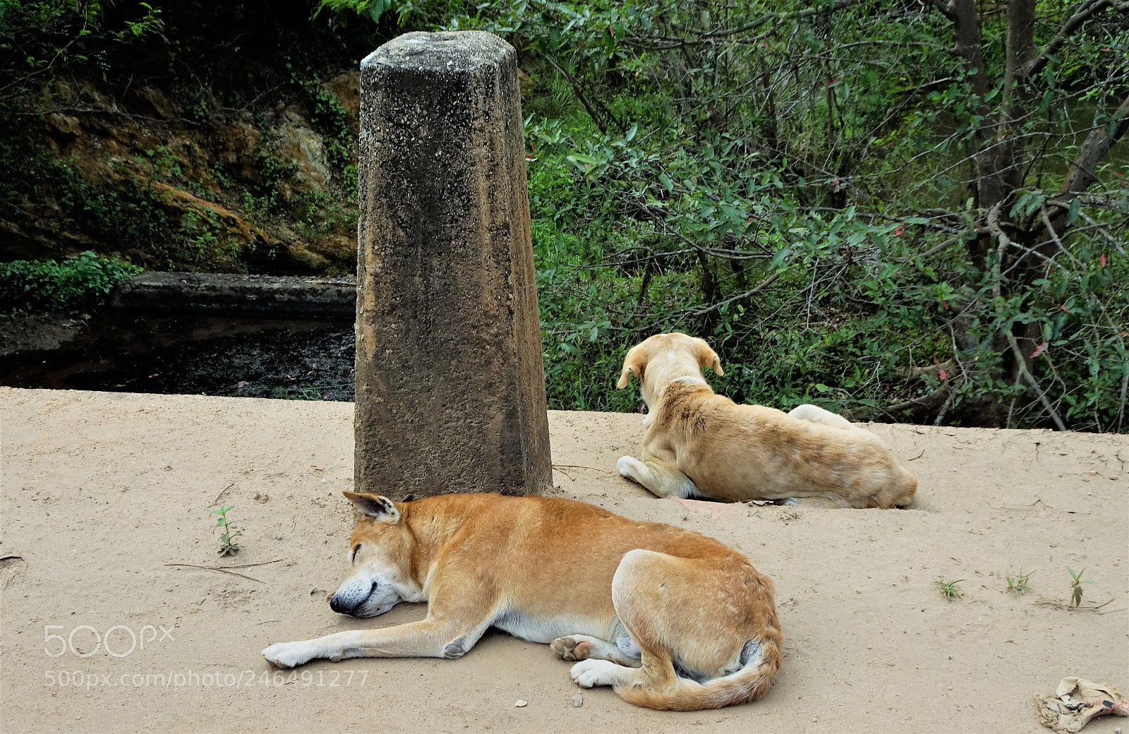 Sony Cyber-shot DSC-HX90V sample photo. Dsc photography