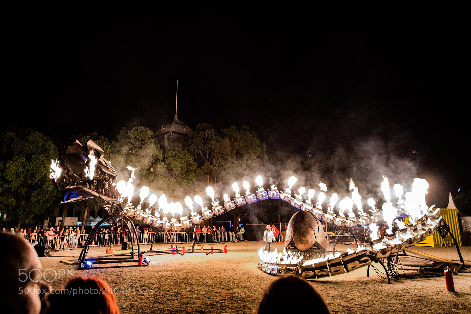 Nikon D500 sample photo. White light serpent photography