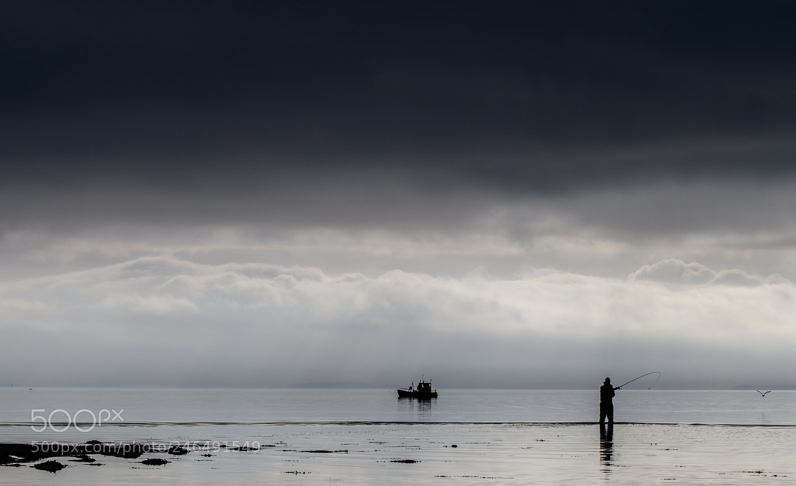 Nikon D500 sample photo. Fishing... x 2 photography