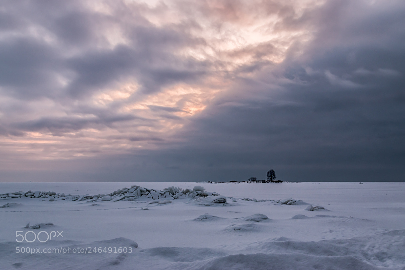 Nikon D5500 sample photo. Winter sea photography