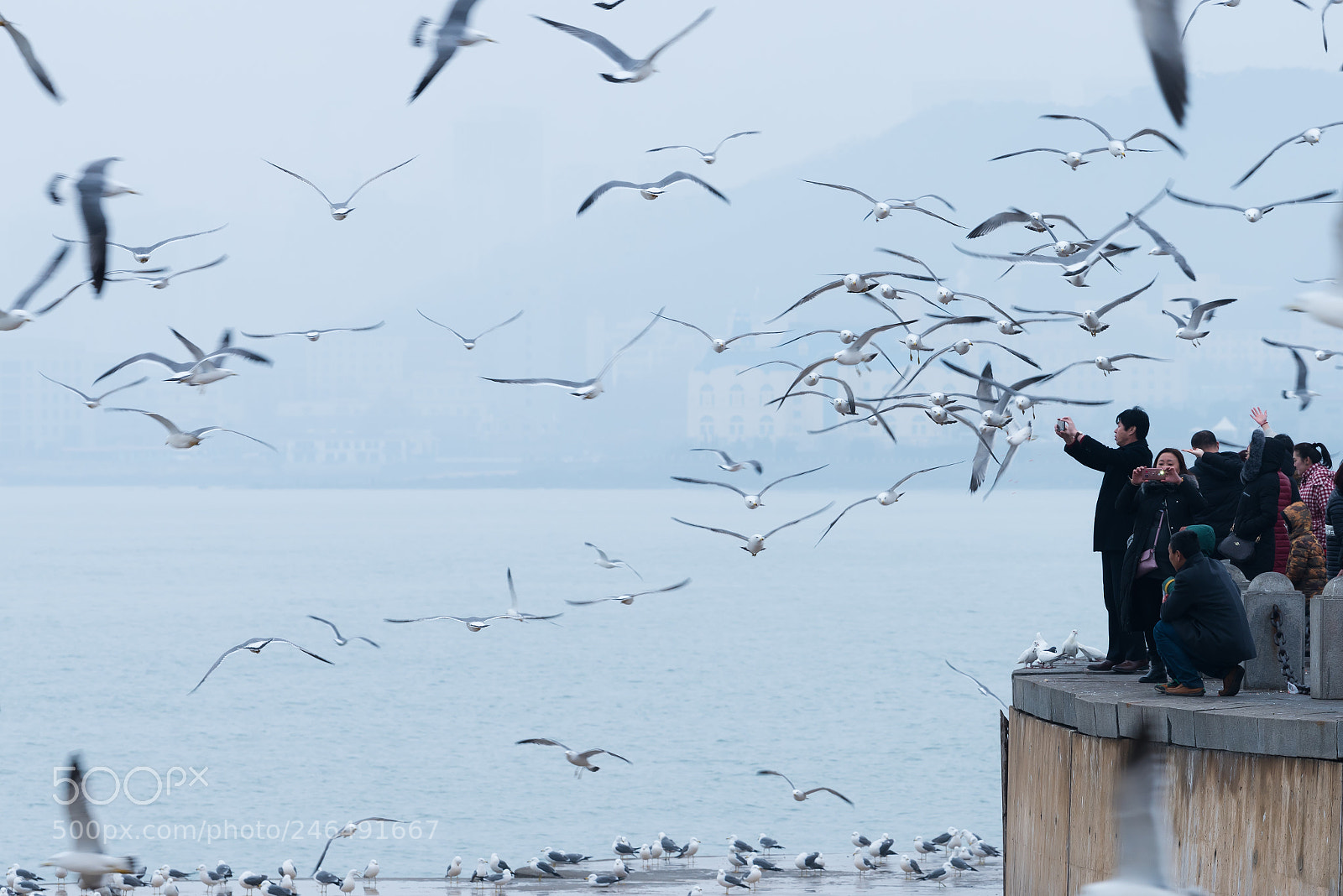Nikon D810 sample photo. Untitled photography