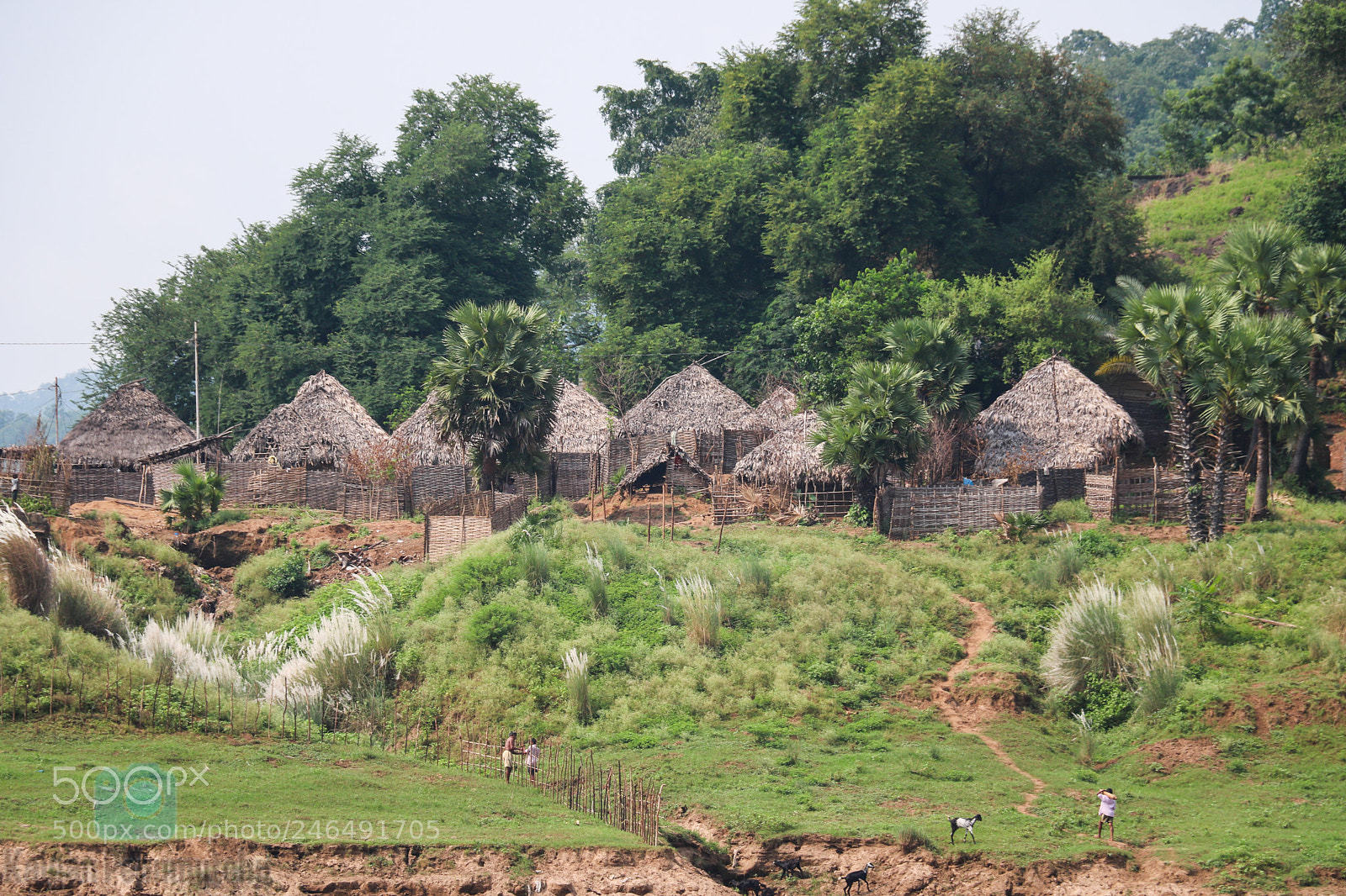 Canon EOS 760D (EOS Rebel T6s / EOS 8000D) sample photo. Tribe huts photography