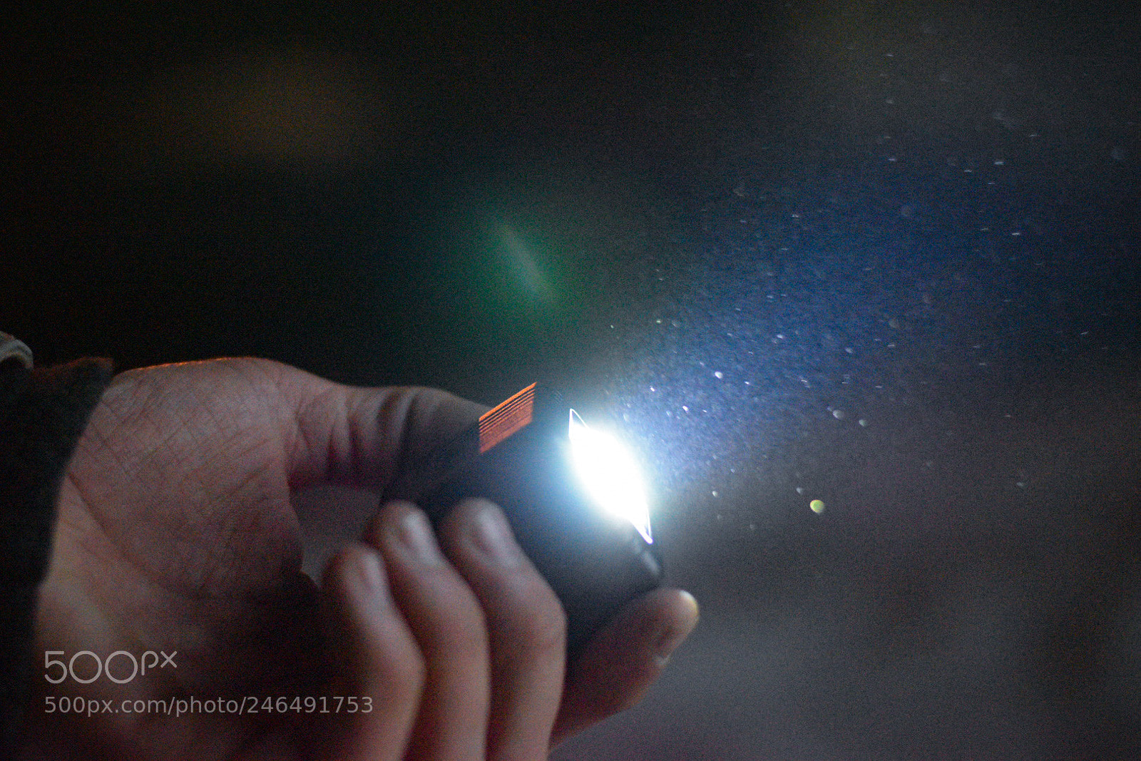 Nikon D5600 sample photo. The light from the photography