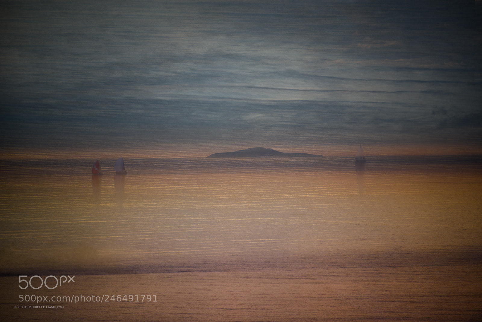 Nikon D800 sample photo. The island of the photography