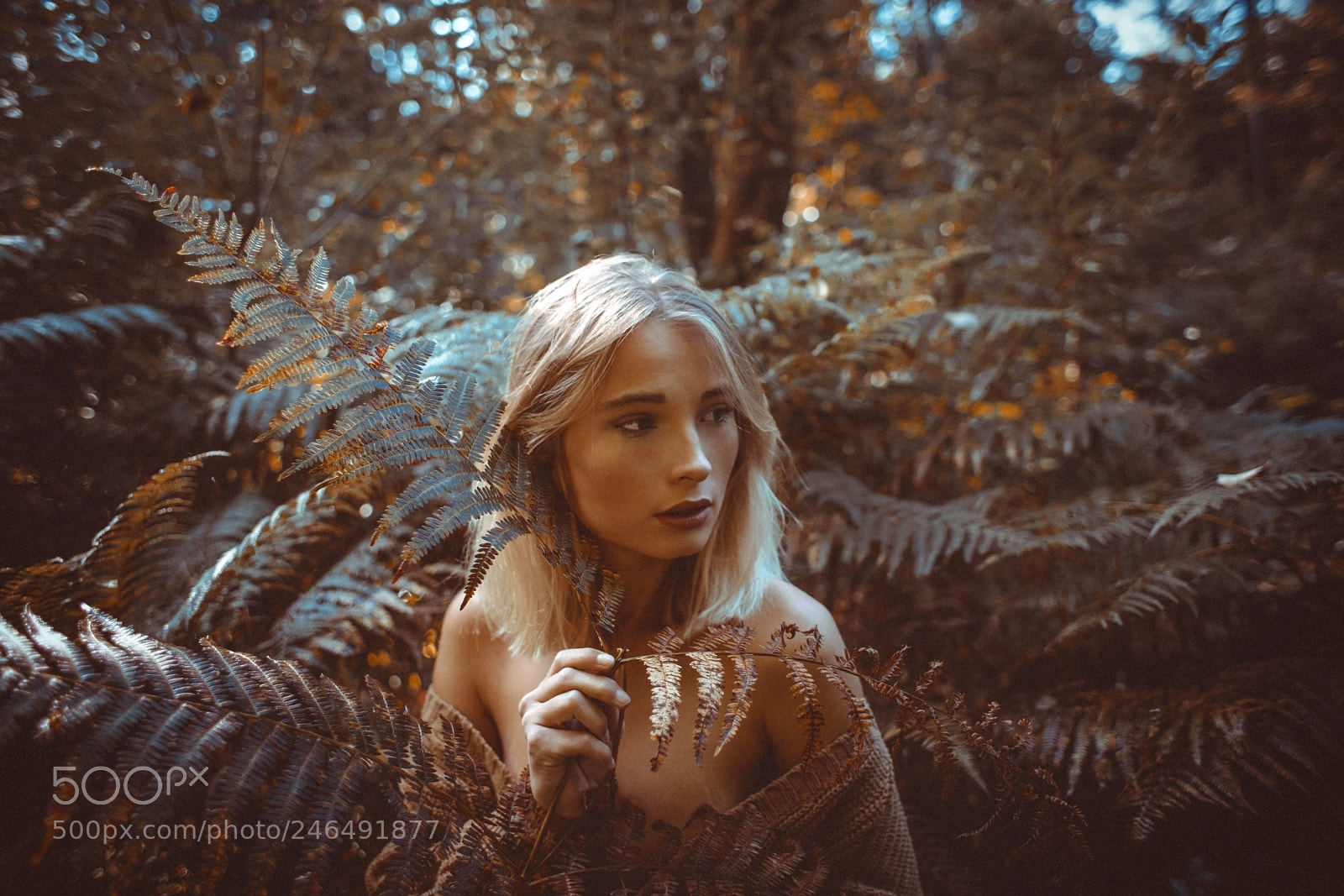 Sony a7R II sample photo. Jill photography