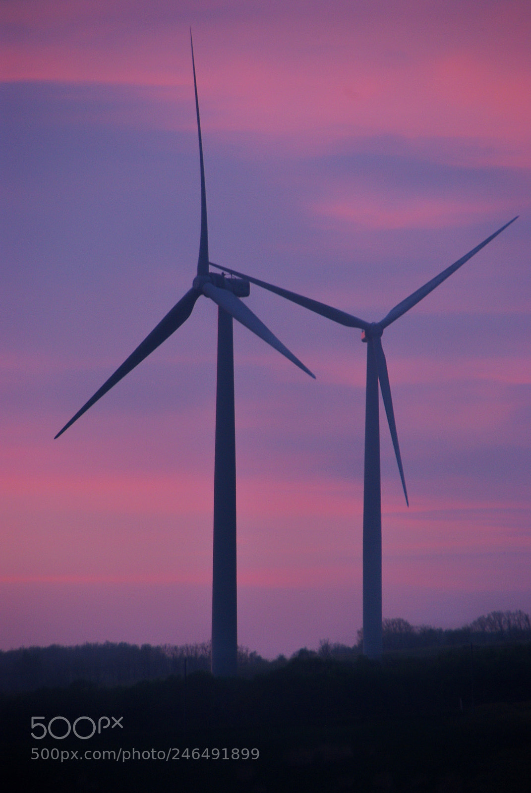 Pentax K10D sample photo. Purple sky photography