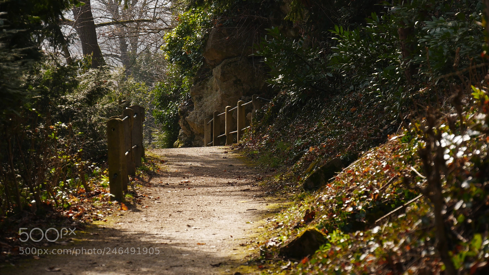 Panasonic Lumix DMC-GX85 (Lumix DMC-GX80 / Lumix DMC-GX7 Mark II) sample photo. Spring is coming photography