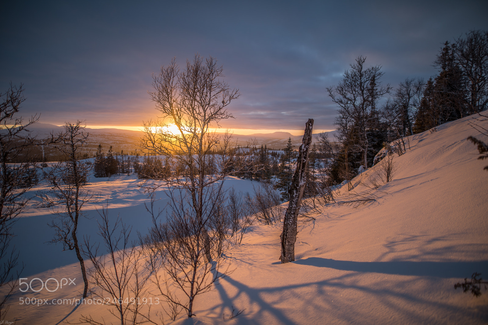 Canon EOS 5D Mark IV sample photo. Sunset in winter wonderland photography