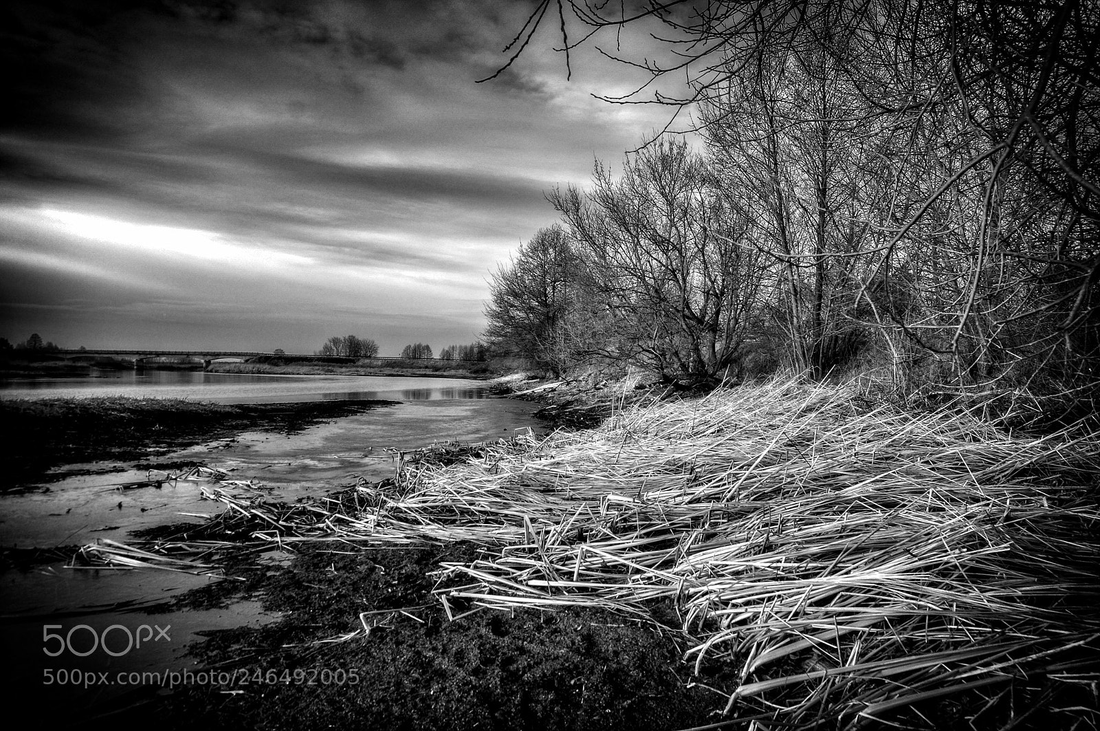 Nikon D5000 sample photo. Весенняя зарисовка photography