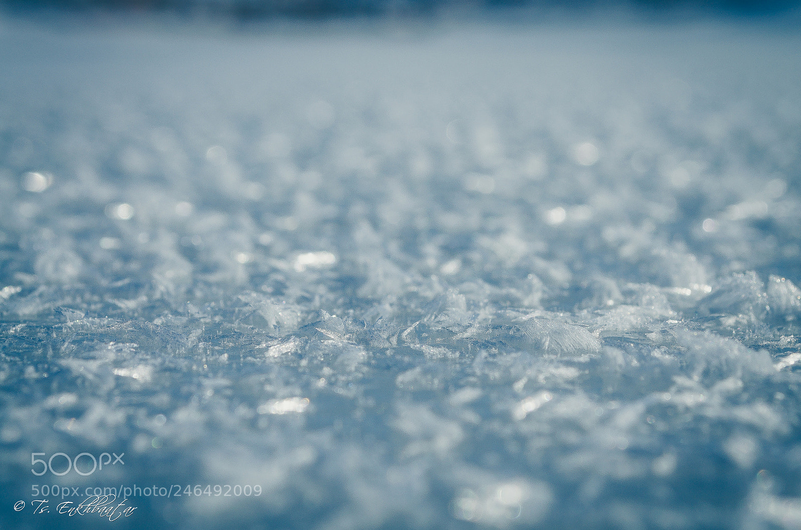 Nikon D5100 sample photo. Ice photography