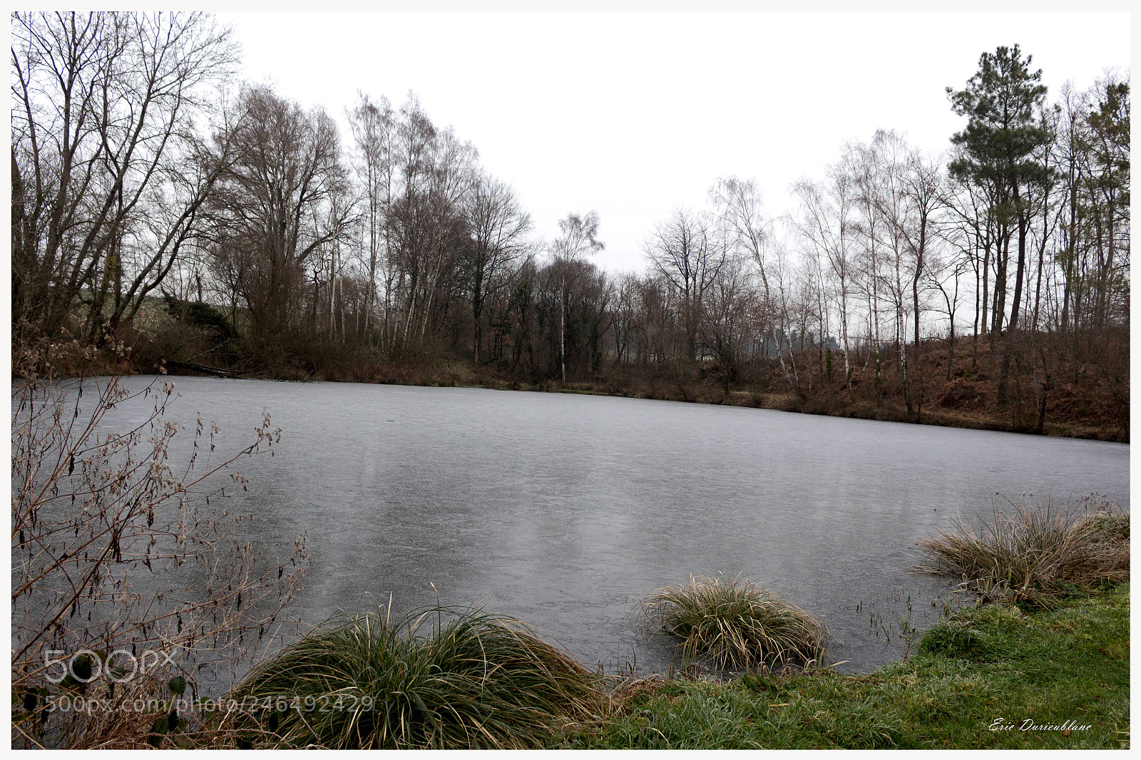 Canon EOS 700D (EOS Rebel T5i / EOS Kiss X7i) sample photo. Untitled photography