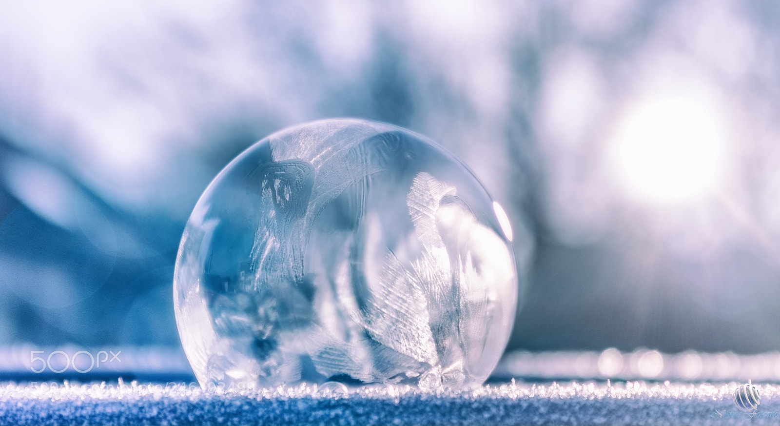 Pentax K-3 II sample photo. Cold bubble photography