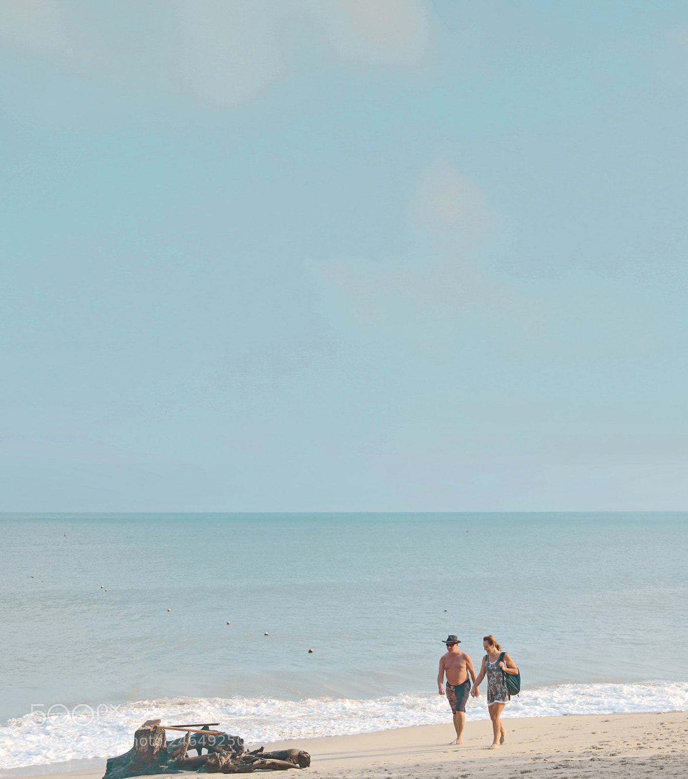 Canon EOS 5DS R sample photo. The visitor in seaside 6# photography