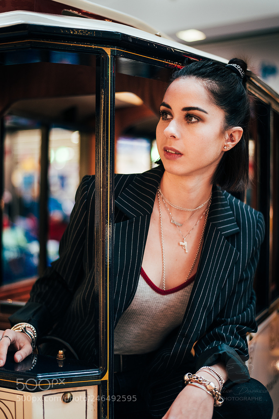 Nikon D810 sample photo. French carrousel photography