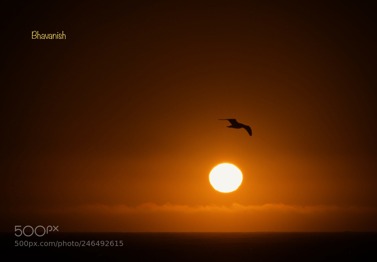 Olympus OM-D E-M1 Mark II sample photo. Sunset at goat rock photography