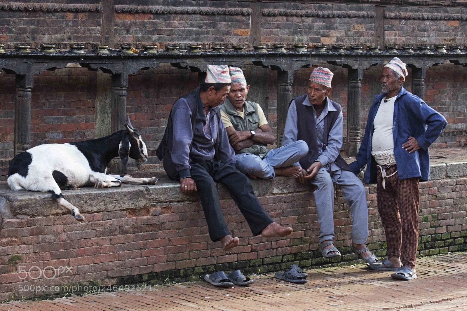 Canon EOS 600D (Rebel EOS T3i / EOS Kiss X5) sample photo. Men an goat photography
