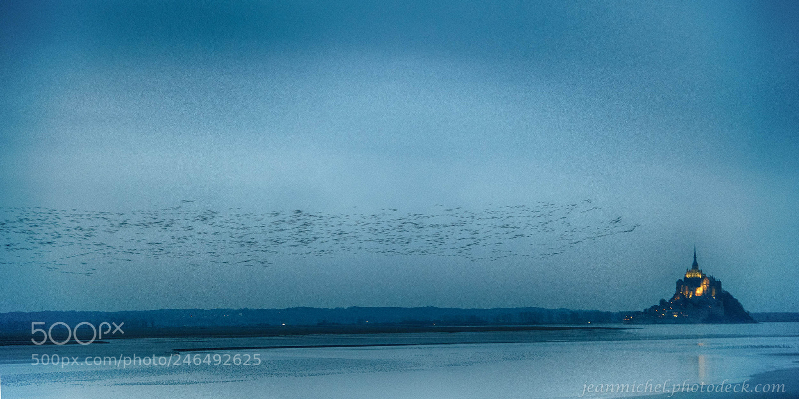 Nikon D850 sample photo. Les bernaches sur l'eau photography