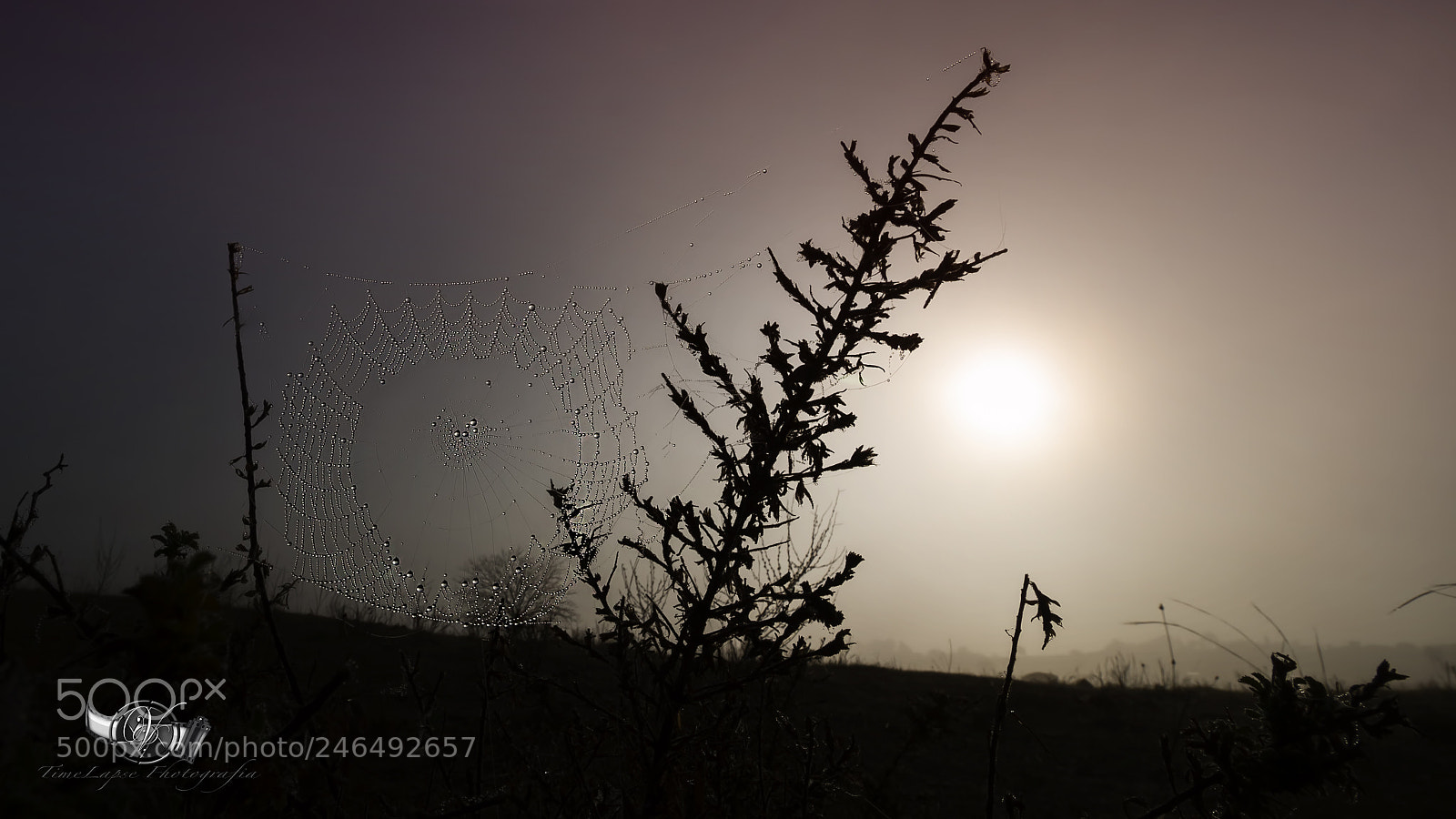 Canon EOS 7D sample photo. Amanecer photography