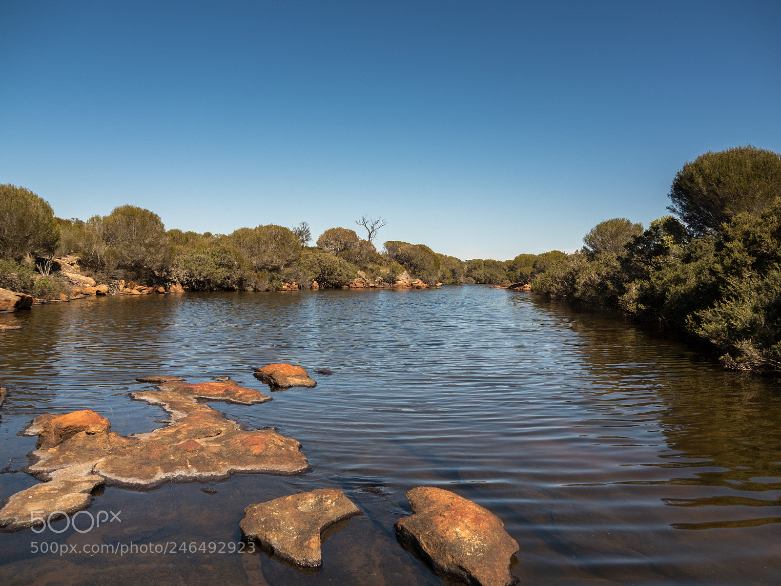 Olympus OM-D E-M5 II sample photo. Hamersley drive billabong photography