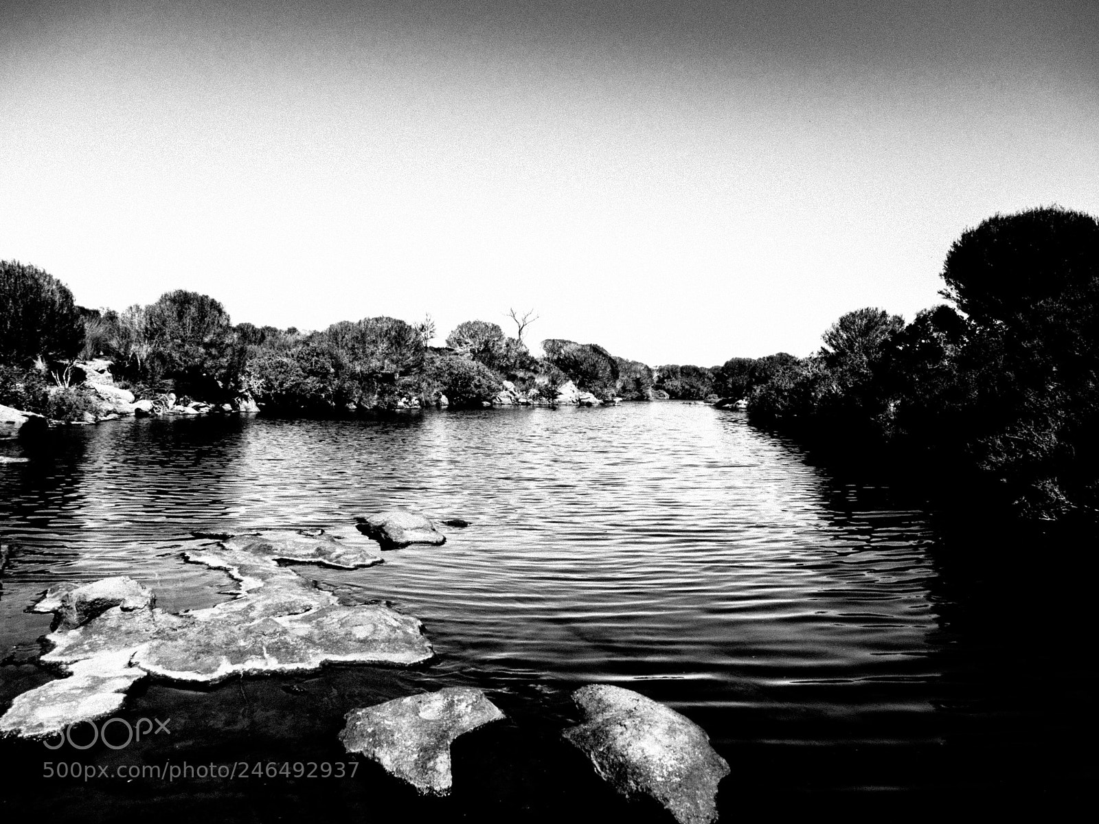 Olympus OM-D E-M5 II sample photo. Hamersley drive billabong b photography
