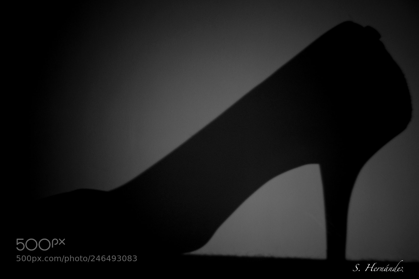 Sony Cyber-shot DSC-H300 sample photo. Elegant shadow photography