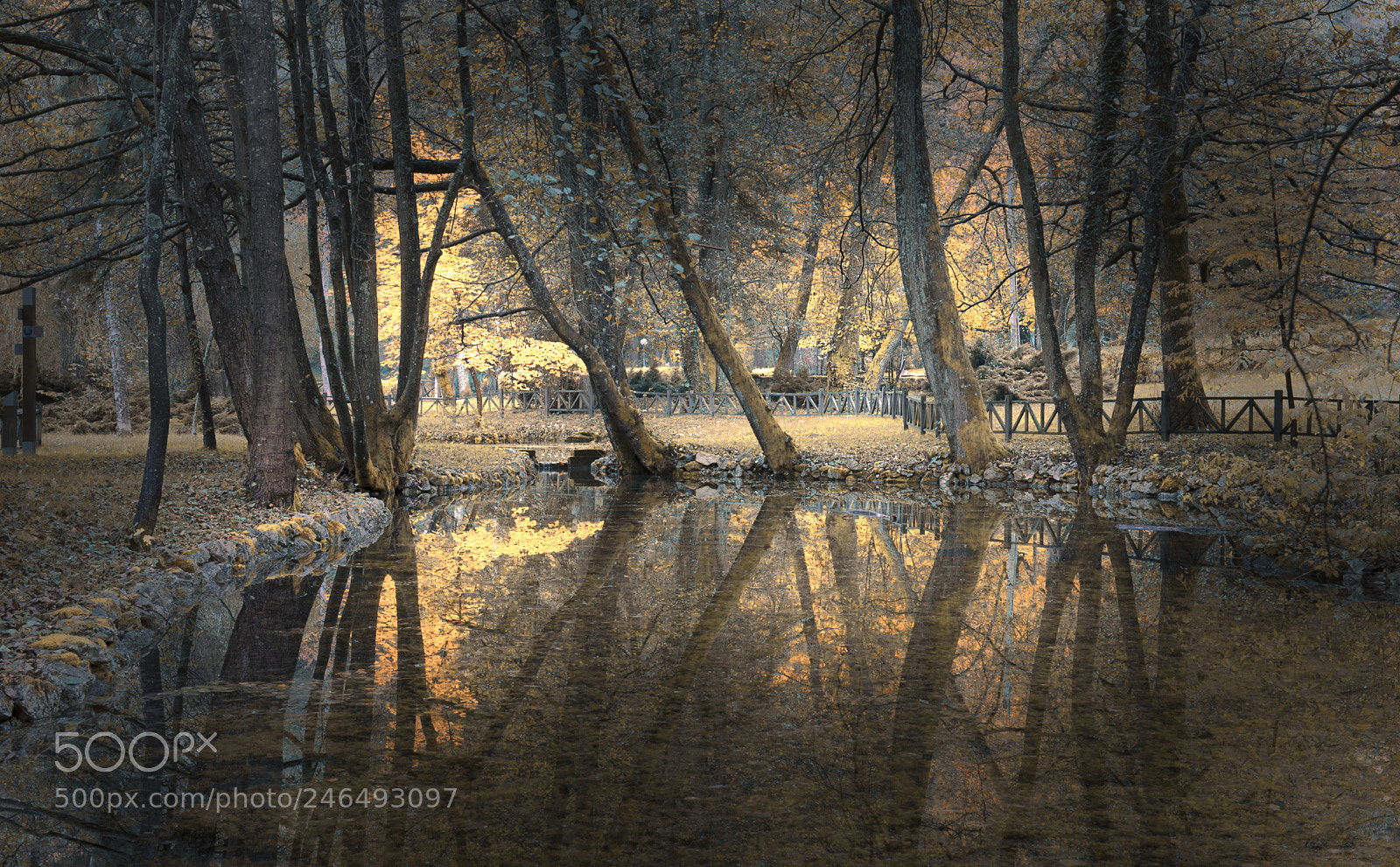 Nikon D610 sample photo. Reflection photography