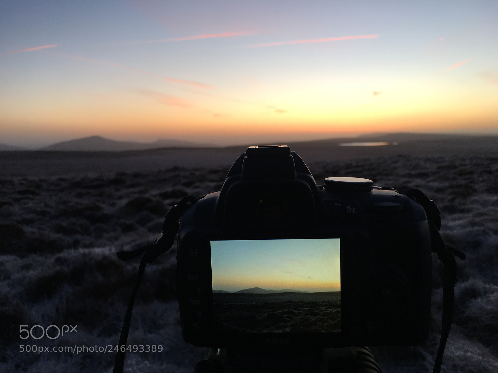 Apple iPhone 6s sample photo. Untitled photography