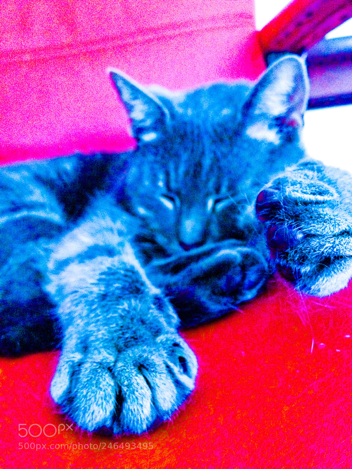 Apple iPhone 4S sample photo. Untitled photography
