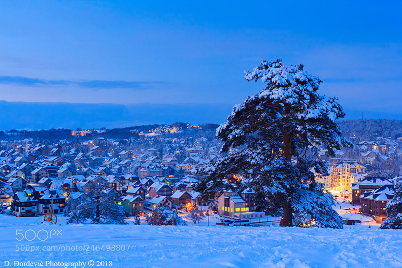 Canon EOS 60D sample photo. Zlatibor blue hour photography