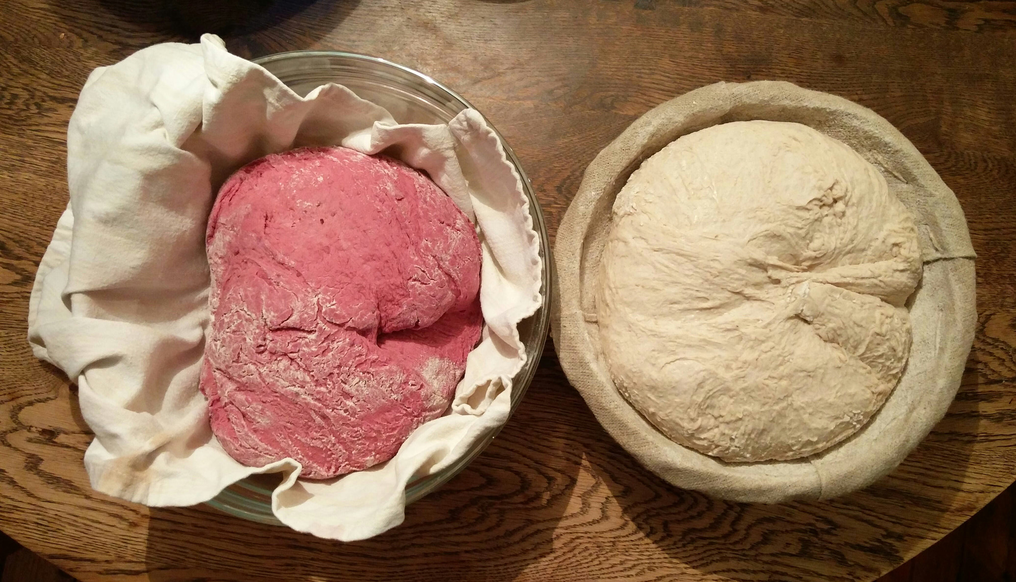 OnePlus 2 sample photo. Sourdough rising. red with beetroot juice. photography