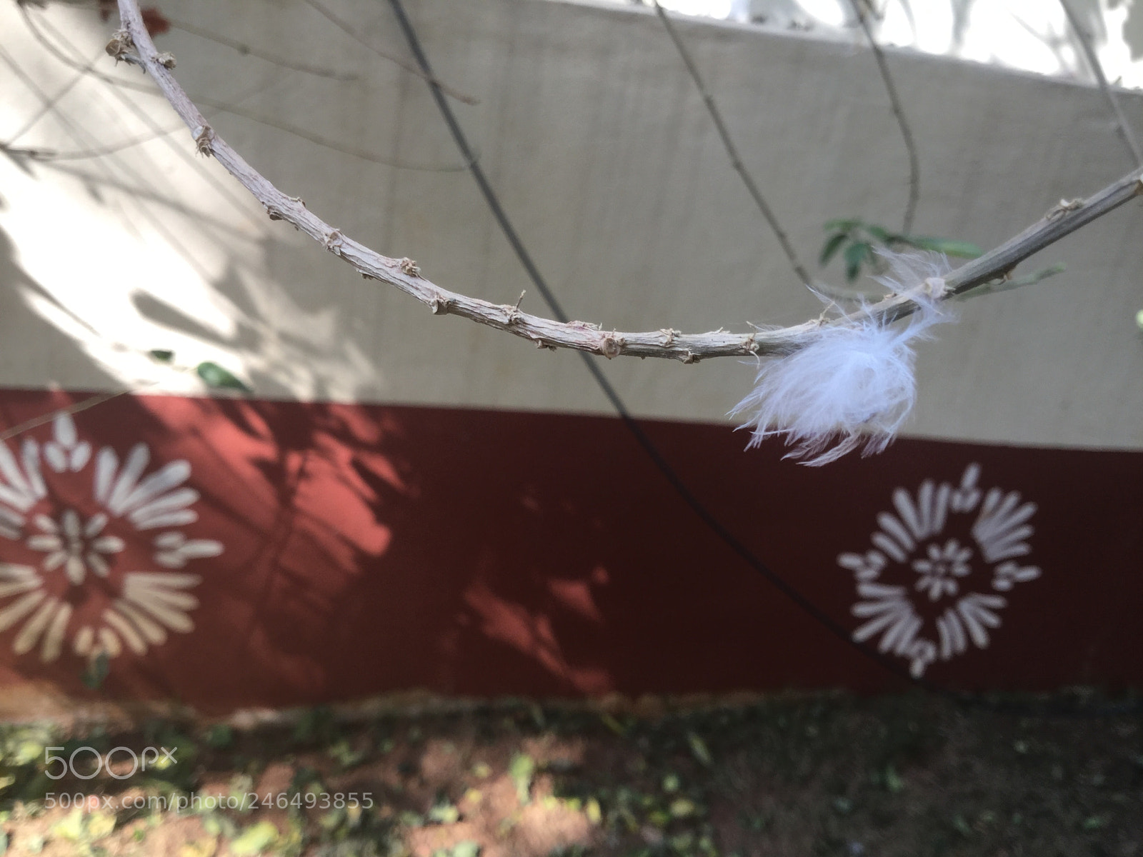 Apple iPad Air 2 sample photo. Small things also look photography