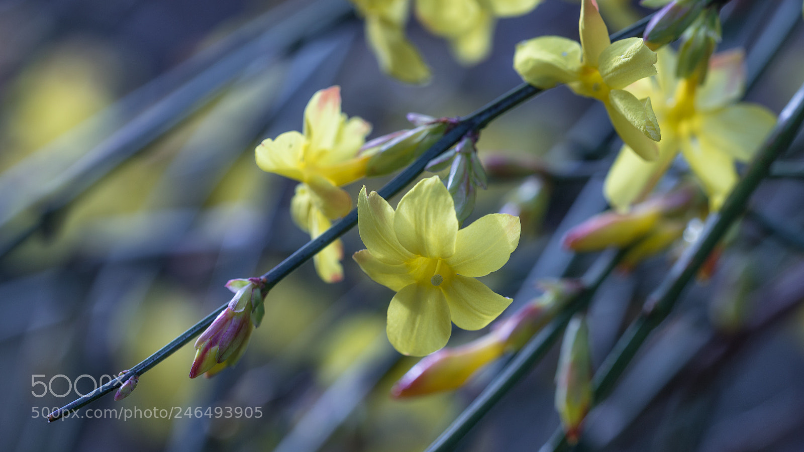 Nikon D610 sample photo. Hold on people photography