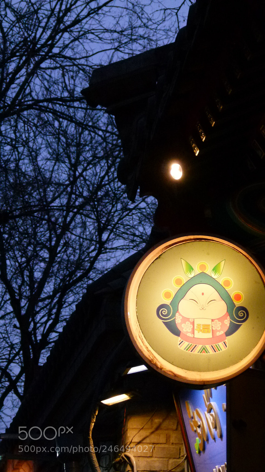 Leica V-Lux 2 sample photo. Untitled photography