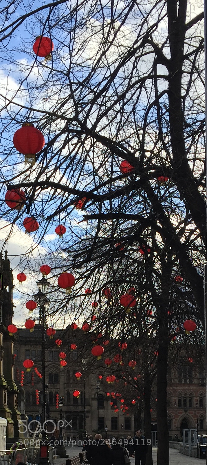 Apple iPhone 6 sample photo. Celebrating chinese new year photography