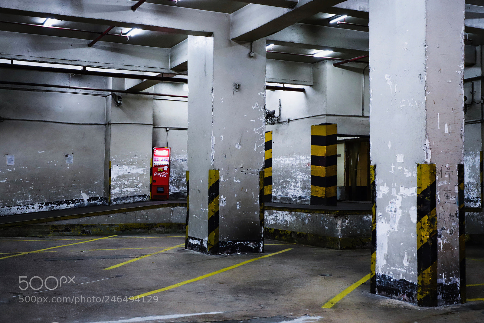 Canon EOS 6D Mark II sample photo. Untitled photography