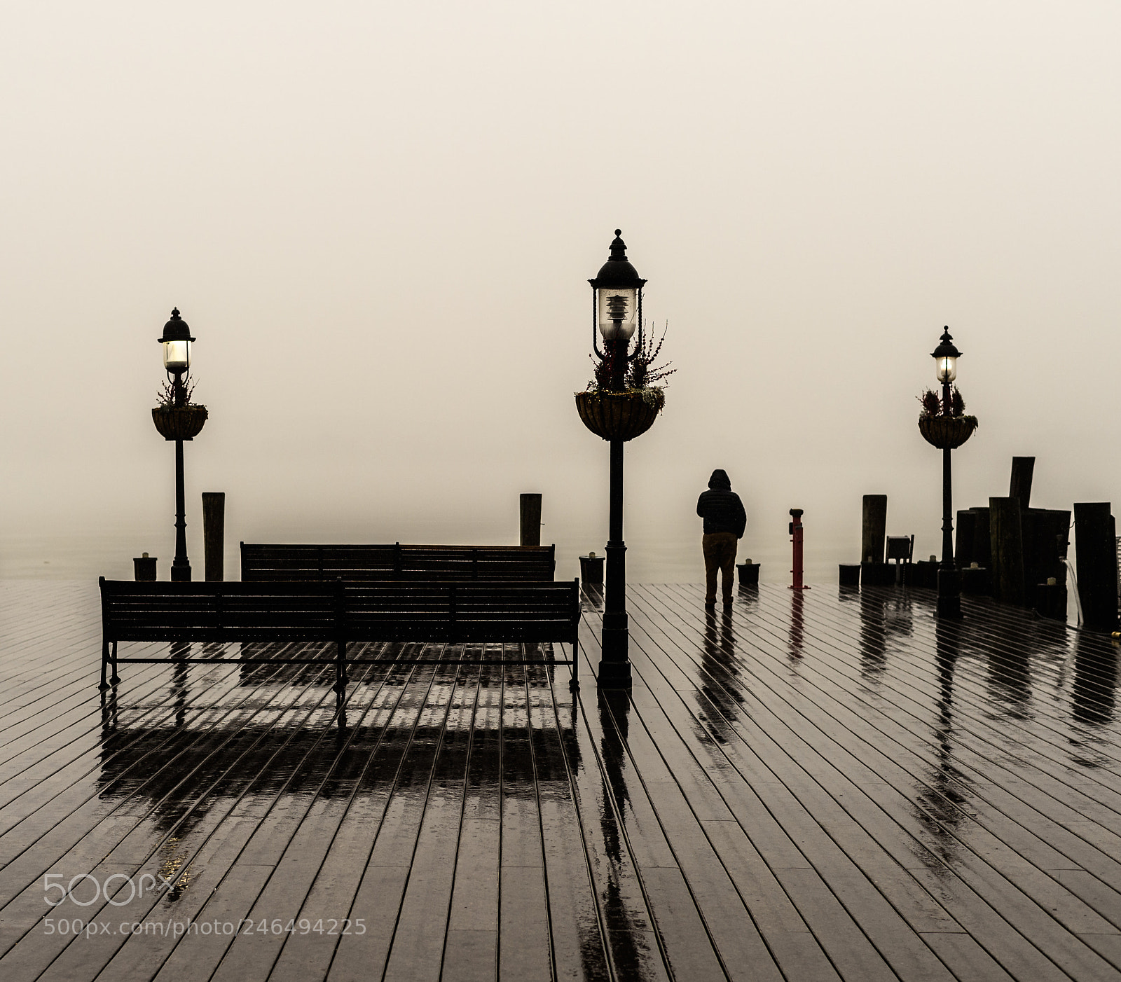 Nikon Df sample photo. Lost in the fog photography