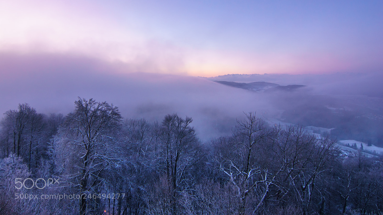 Sony ILCA-77M2 sample photo. Cold winter morning photography